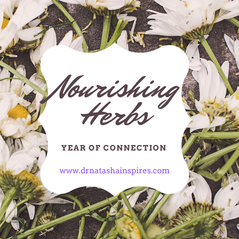 Nourishing Herbs: I am the Plant and the Plant is I